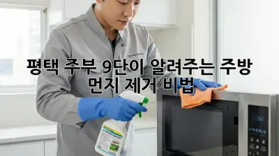 🏡 평택 주부 9단이 알려주는 주방 먼지 제거 비법 ✨