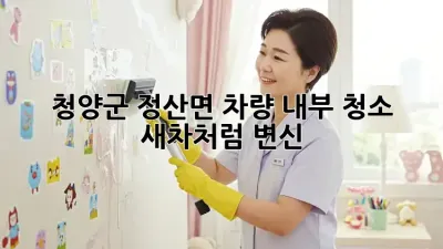 ✨청양군 정산면 차량 내부 청소, 새차처럼 변신!🚗💨